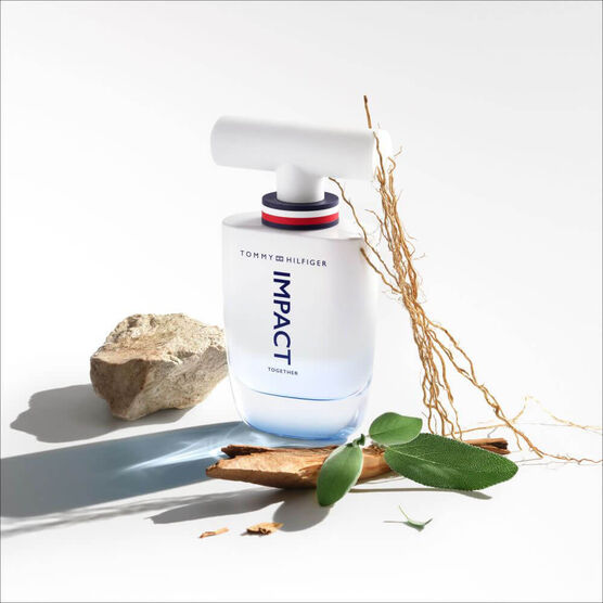 Perfume Tommy Hilfiger The Impact Together Masculino Eau De Toilette